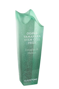 Ogawa-Yamanaka Prize