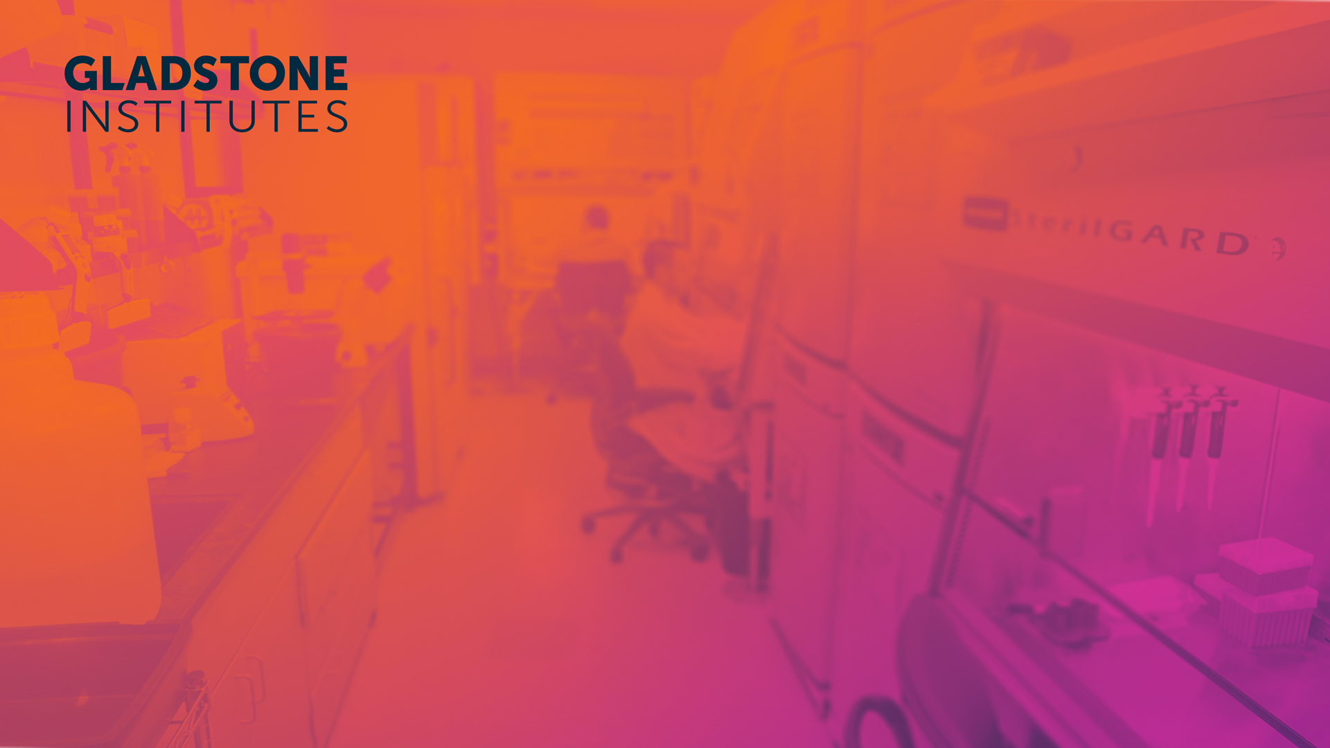 Zoom background photo of researchers in lab with orange and purple photo filter