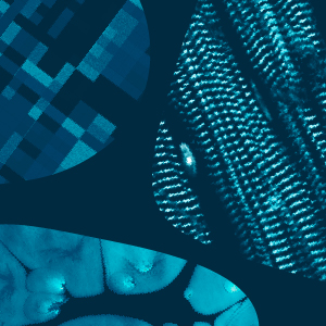 MCRI event graphic