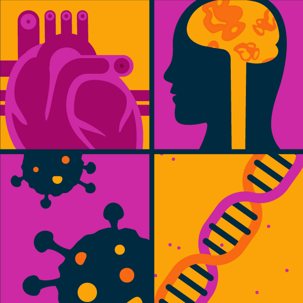 Heart, brain, virus cells, and DNA