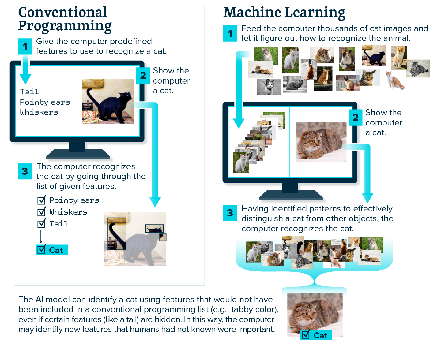 Convential programming vs machine learning graphic