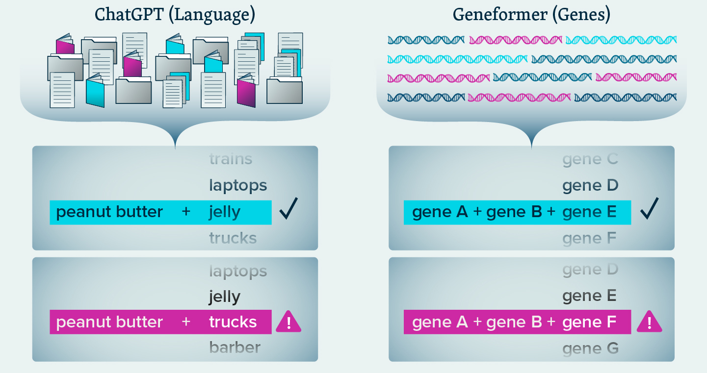 Illustration comparing ChatGPT to Geneformer