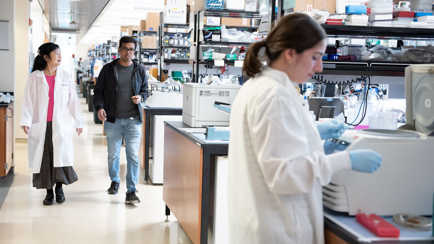 Graduate Students in the Lab