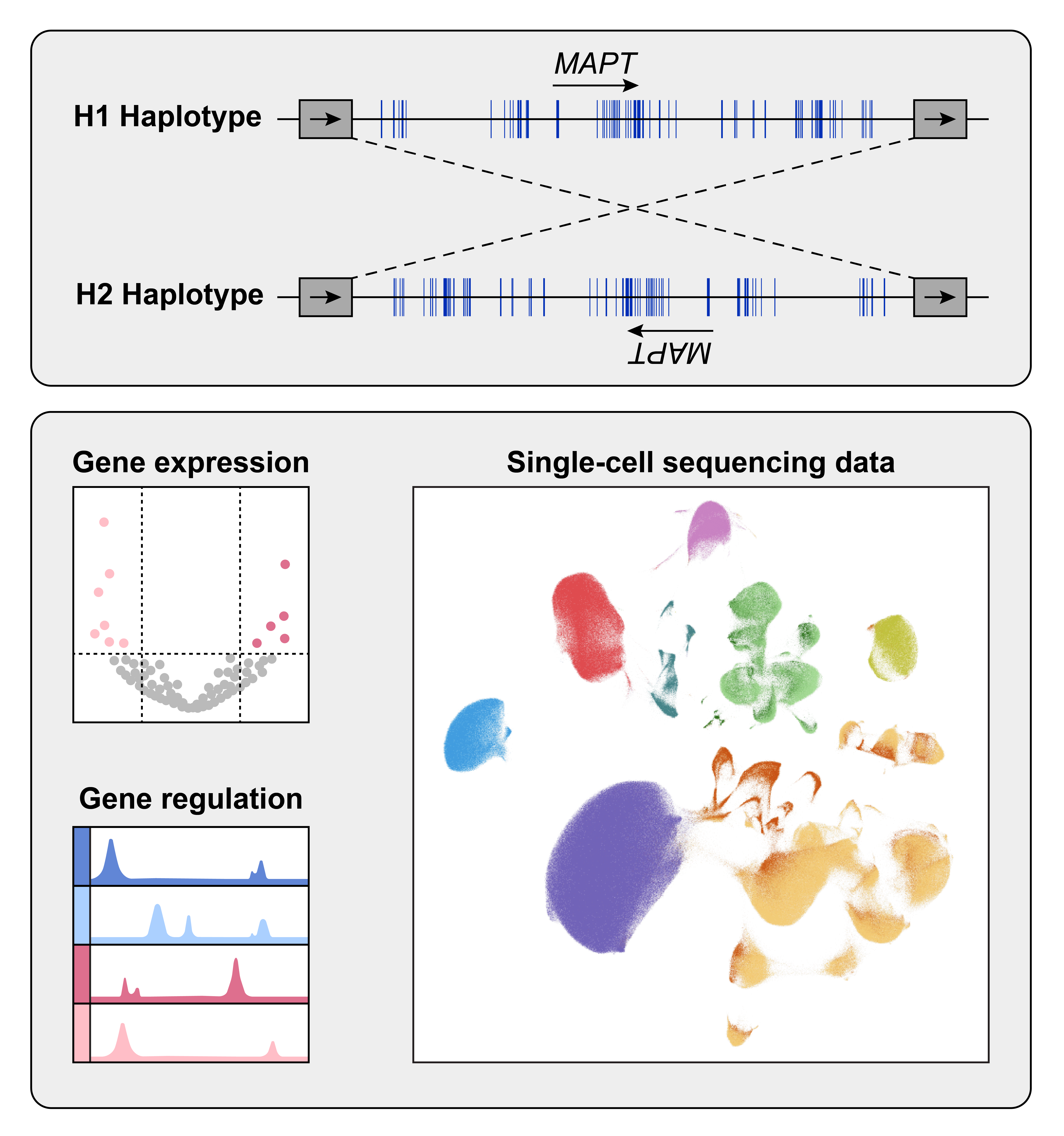 research image