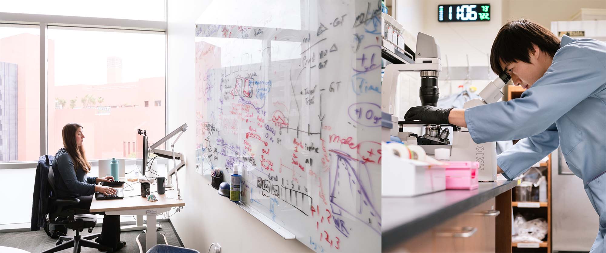 Christina Theodoris and graduate student David Wen