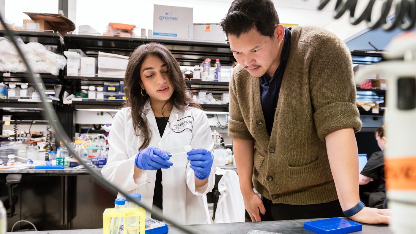 Nalini Rao and Andrew Yang in the lab at Gladstone Institutes