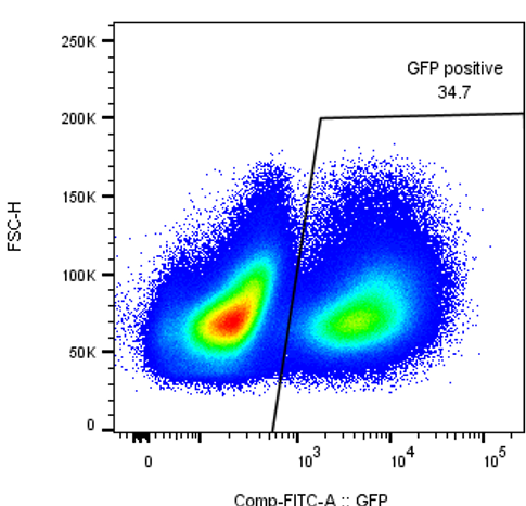 Cell Sorting graphic