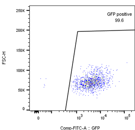 Cell sorting 2