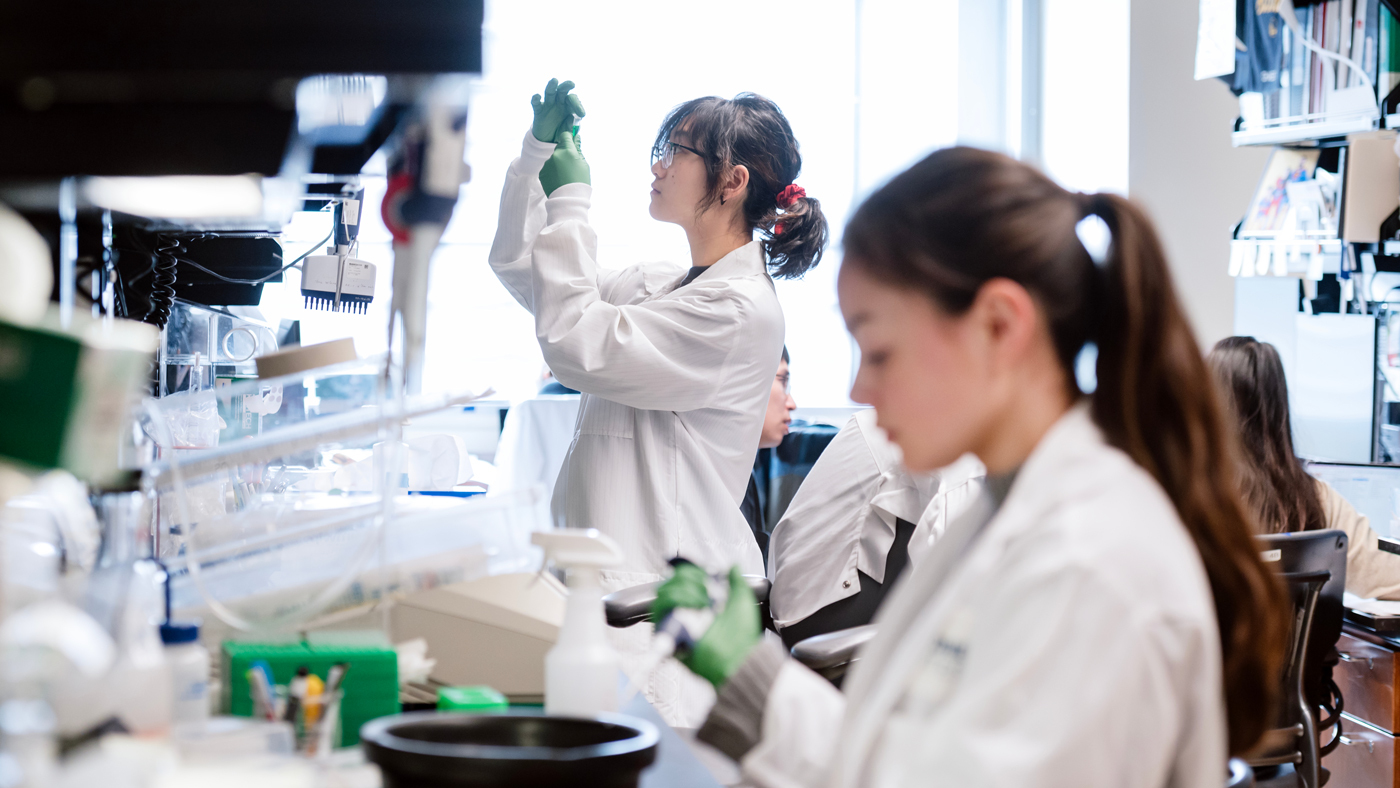 Scientists working in a lab at Gladstone Institutes