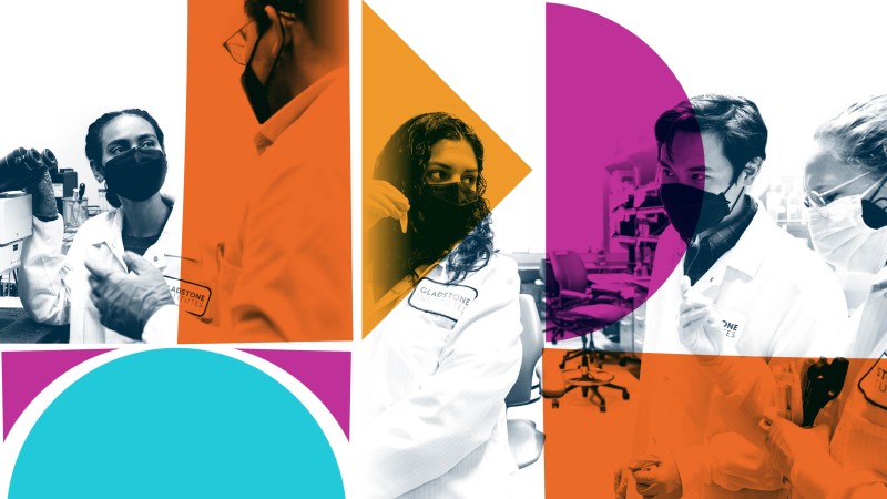 PUMAS Summer Internship