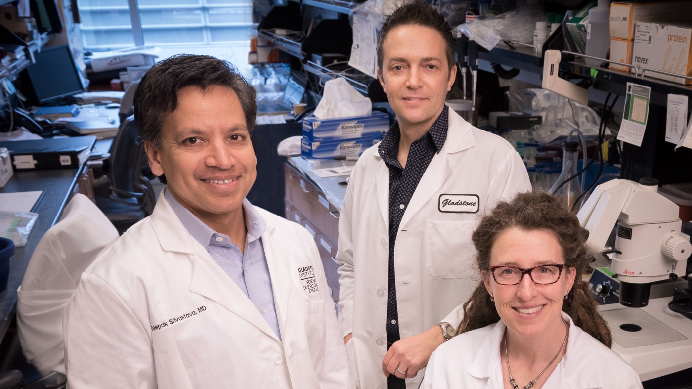 Drs. Srivastava, Bruneau, and Pollard Drs. Srivastava, Bruneau, and Pollard