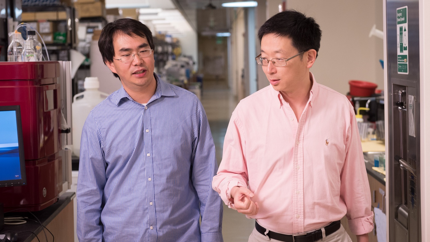 Sheng Ding (right) and Tao Xu (left)