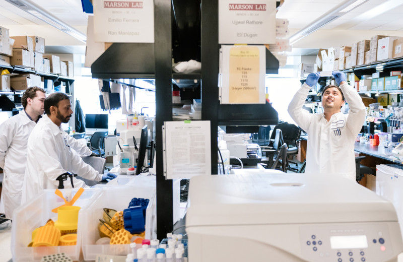 Ujjwal Rathore, Hunter Thornton, and Eli Dugan working in the lab at Gladstone Institutes