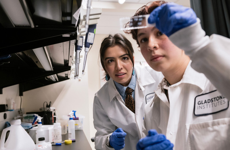 scientists in the lab