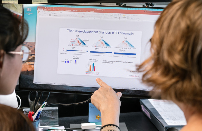 Katie Pollard and Shuzhen Kuang looking at data on a monitor at Gladstone Institutes