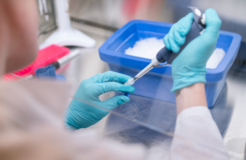 Hands of a scientist working in the lab at Gladstone Institutes