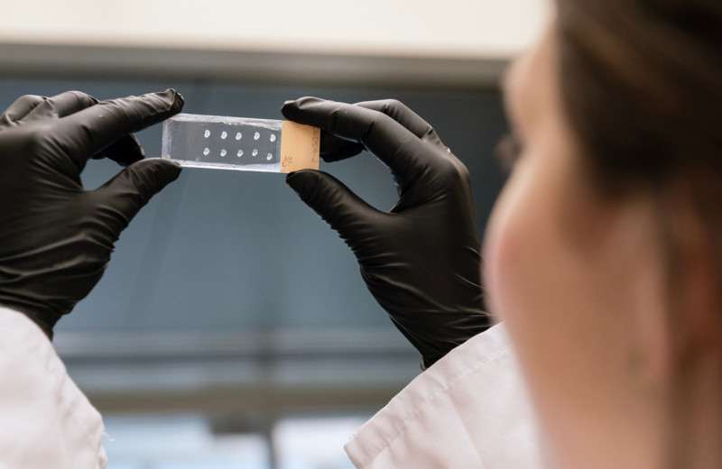 Srivastava Lab scientist looking at image