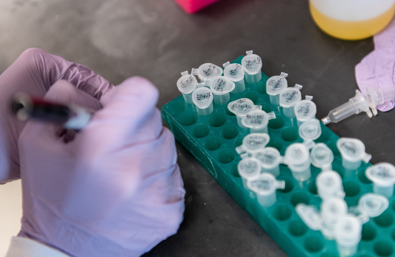 Scientist working in the lab at Gladstone Institutes