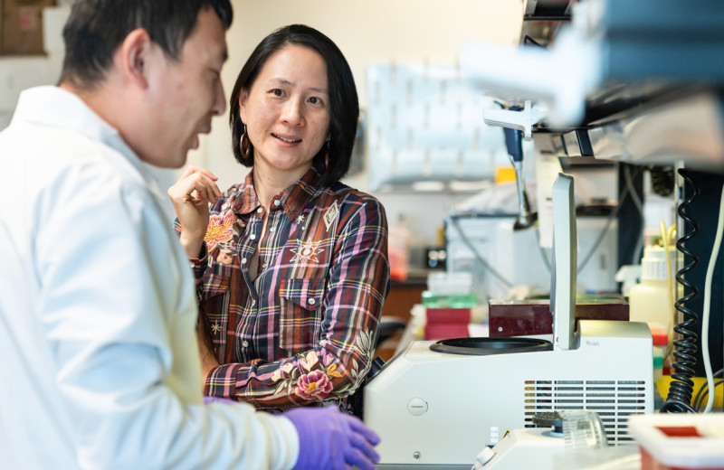 Nadia Roan in the lab at Gladstone Institutes