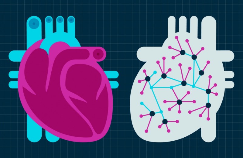 Icons of two hearts, one in blue and red, and the other with light background showing a series of networks