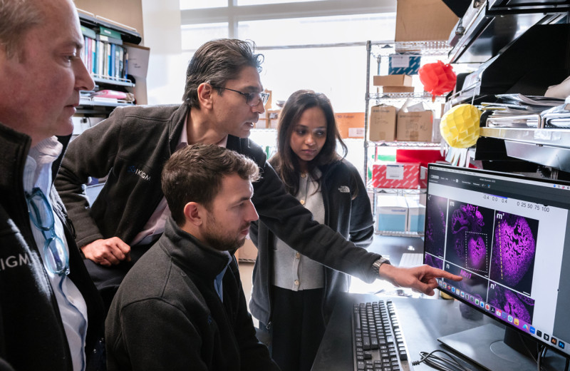 A group of scientists from Benoit Bruneau's lab at Gladstone Institutes