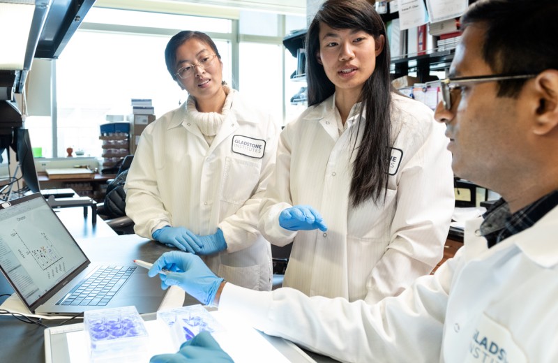 Tongcui Ma, Irene Chen, and Rahul Suryawanshi in the lab at Gladstone Institutes