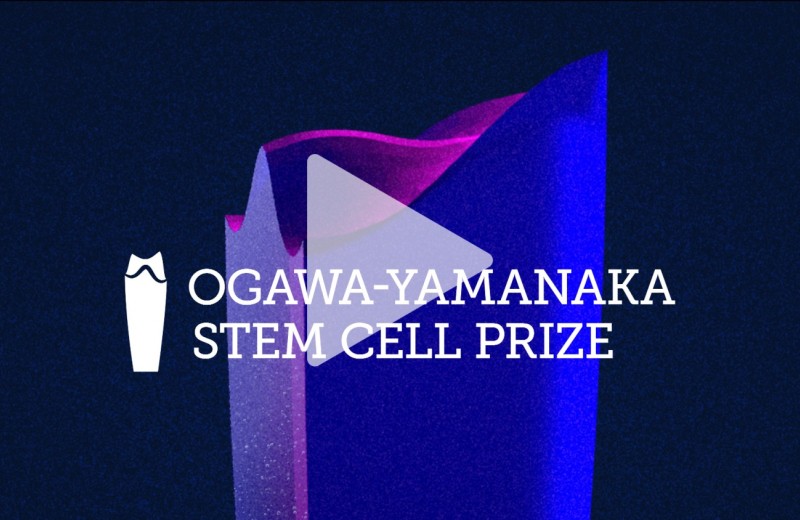 Ogawa-Yamanaka Glass award with play button on top