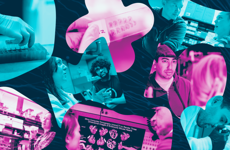 Gladstone's 2025 Scientific Highlights