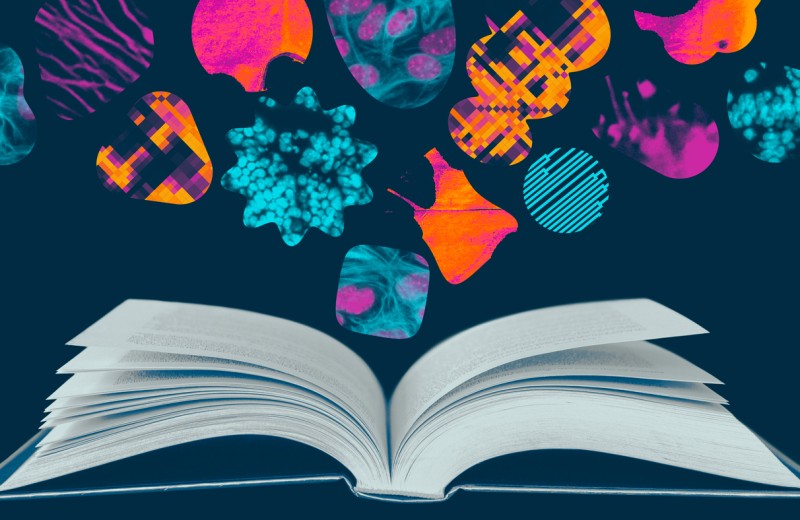 Illustration of a book with whimsical shapes and colors flowing out or the pages