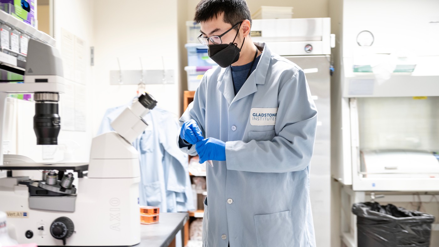 Sam Hu prepares induced pluripotent stem cells.