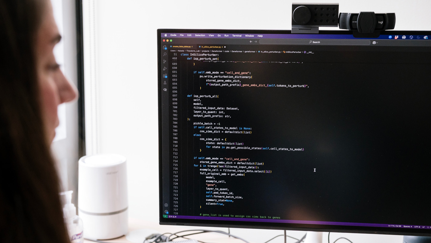 Christina Theodoris looks at a computer screen