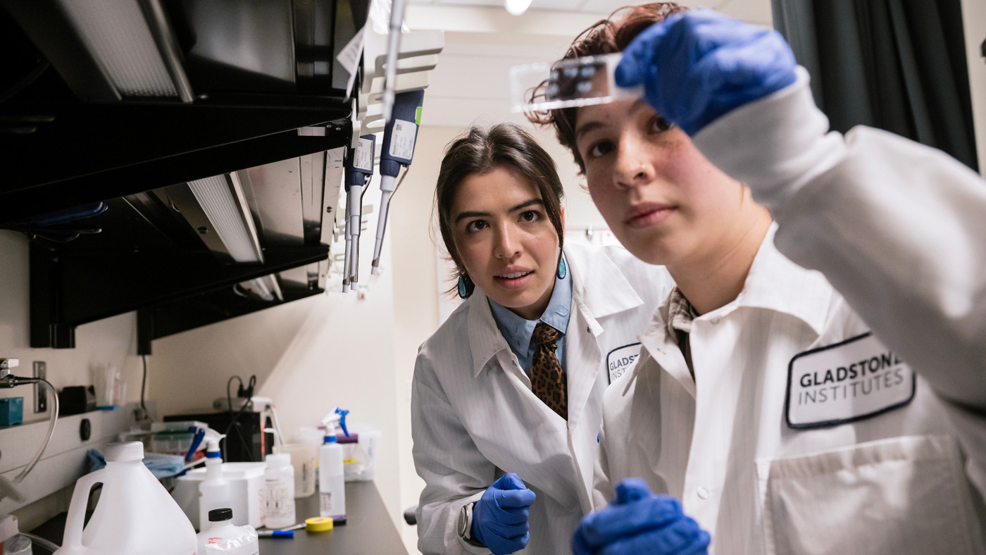 scientists in the lab