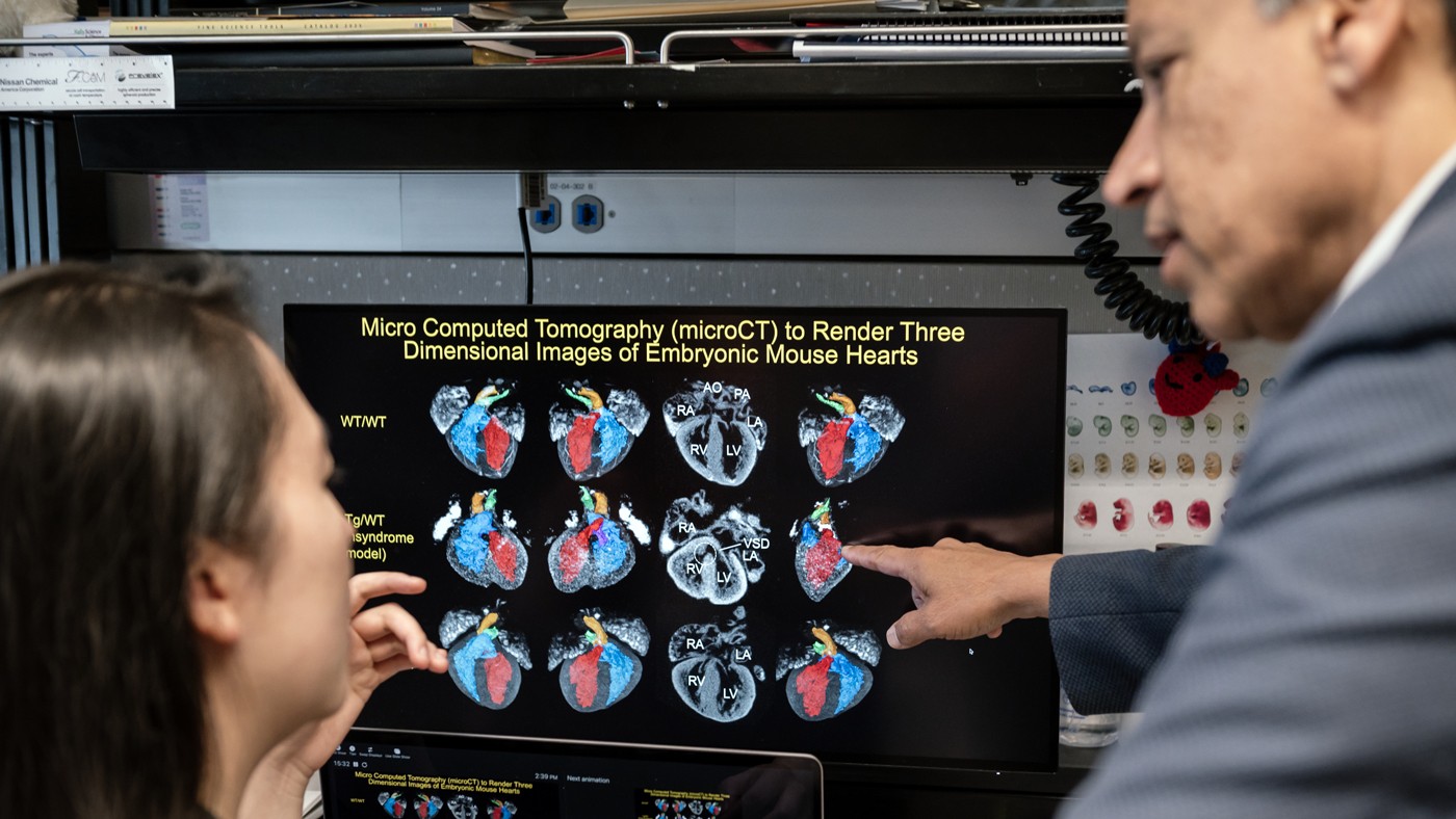 Deepak Srivastava and Feiya Li look at data on a screen at Gladstone Institutes.