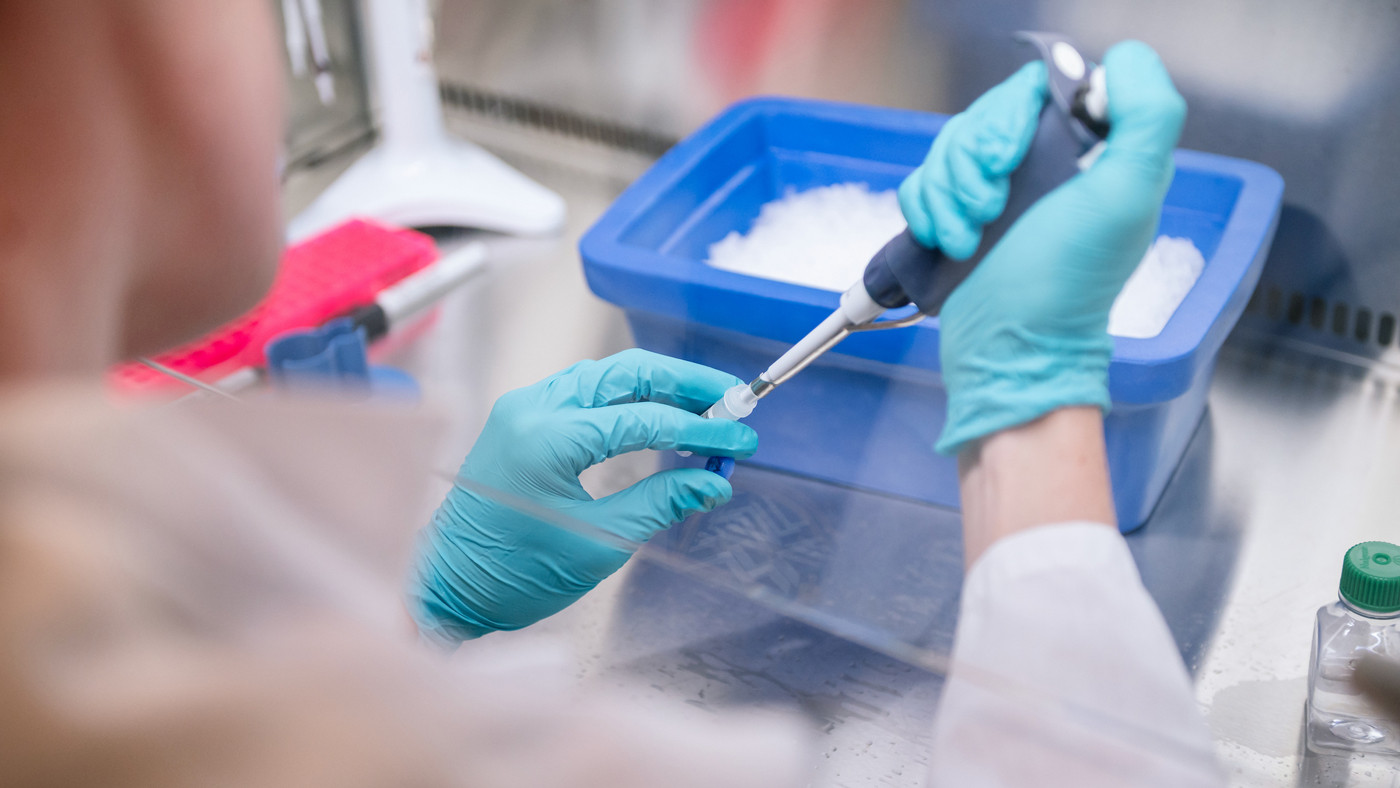 Hands of a scientist working in the lab at Gladstone Institutes