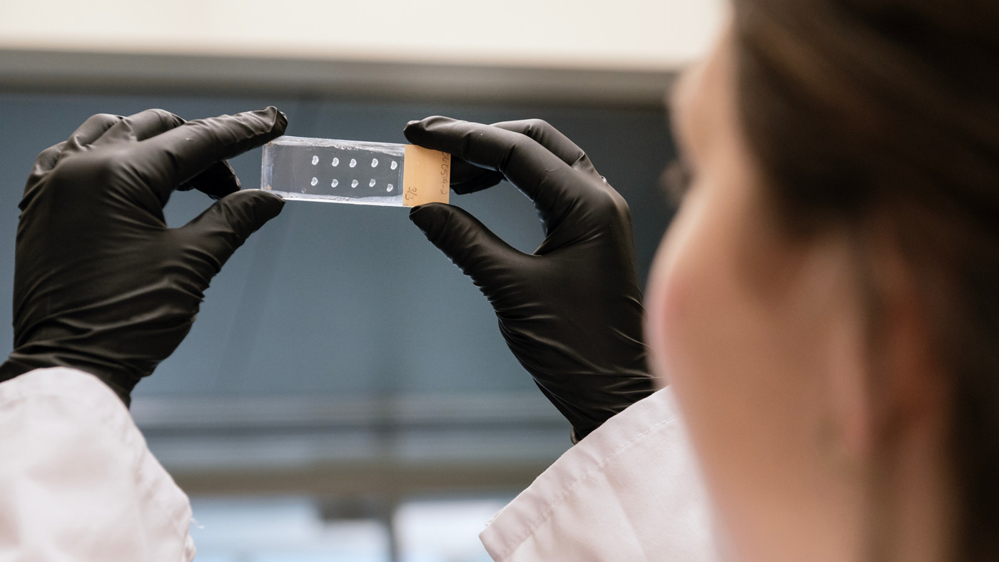 Srivastava Lab scientist looking at image