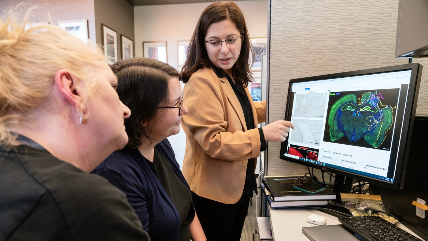 Scientists at Gladstone Institutes review data in Jeanne Paz&#039;s lab.