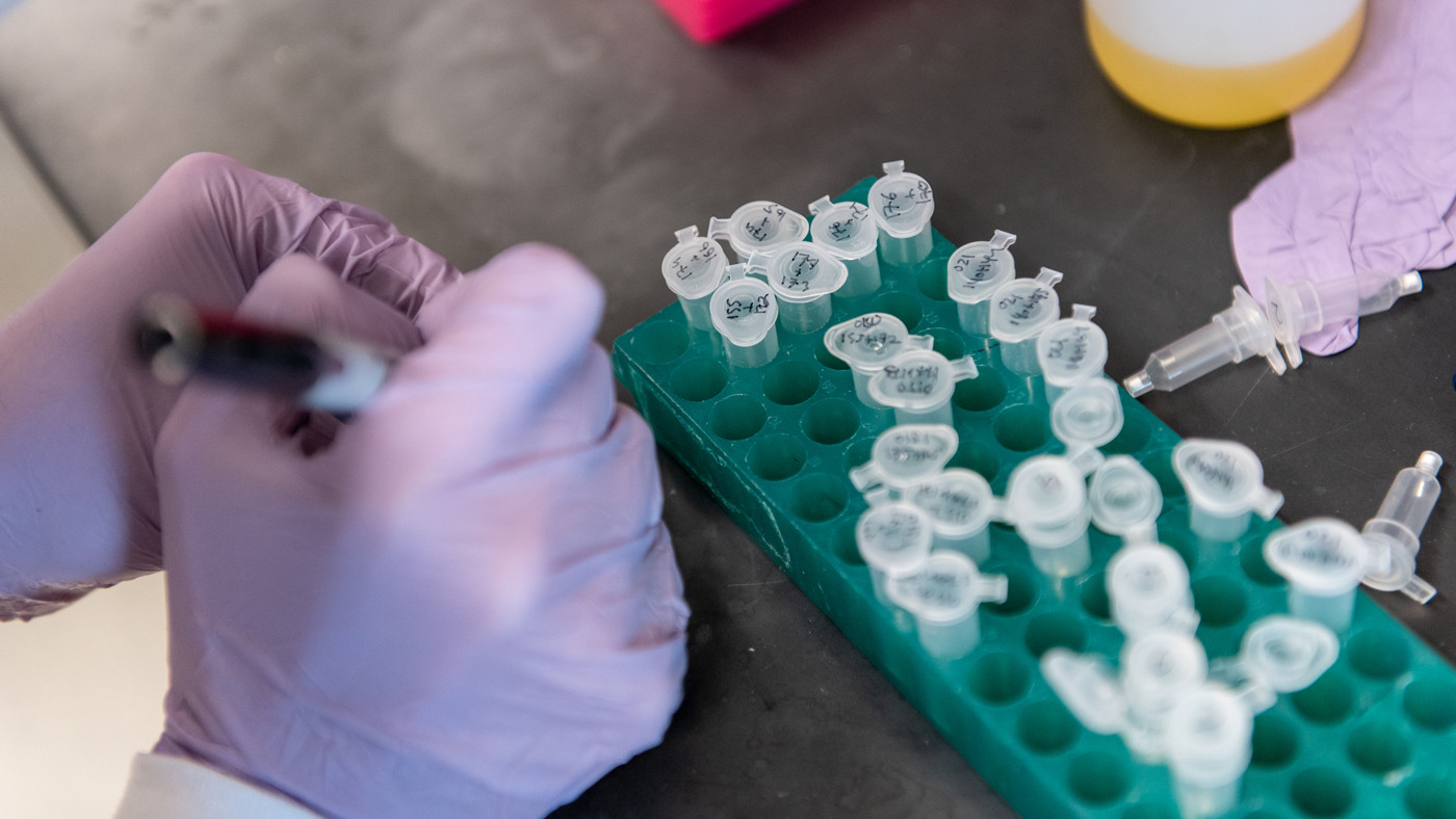 Scientist working in the lab at Gladstone Institutes