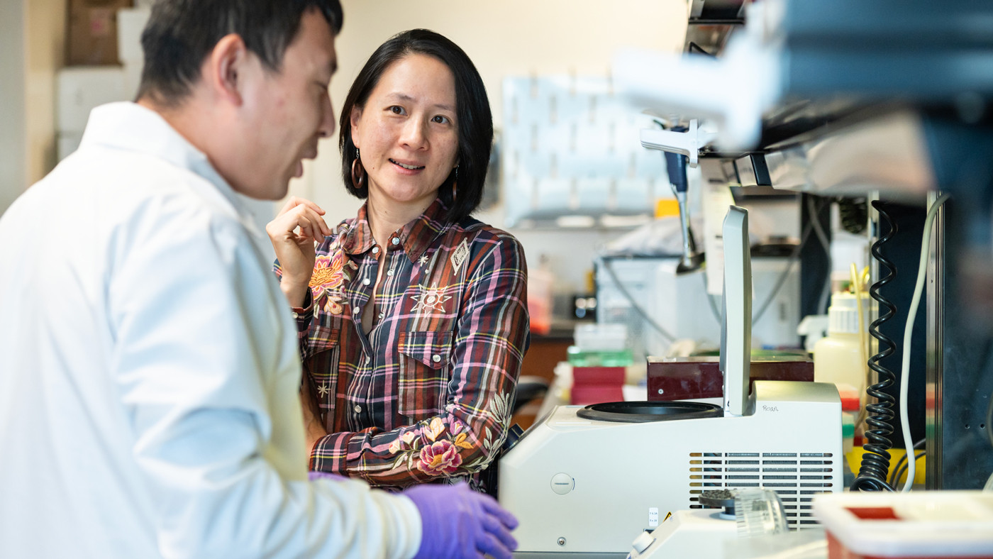 Nadia Roan in the lab at Gladstone Institutes