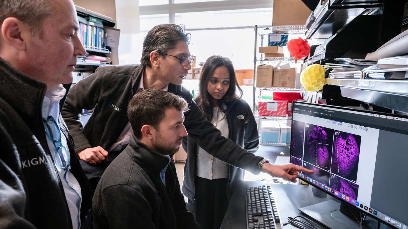 A group of scientists from Benoit Bruneau's lab at Gladstone Institutes
