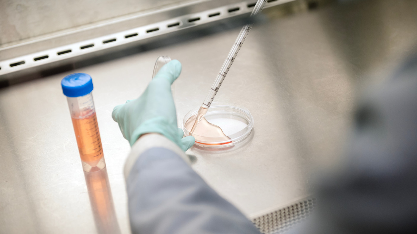 Scientist working in the Conklin Lab at Gladstone Institutes