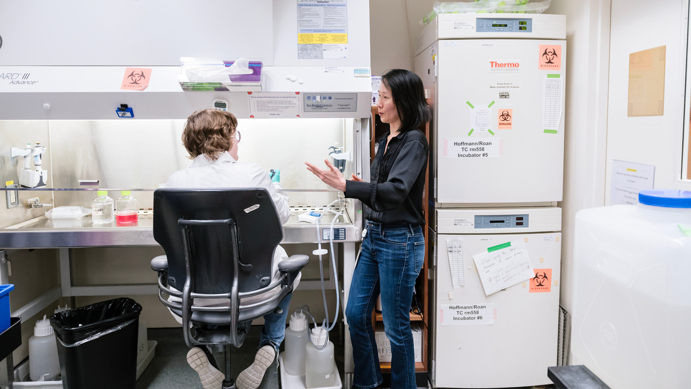 Ashley George and Nadia Roan in the lab at Gladstone Institutes