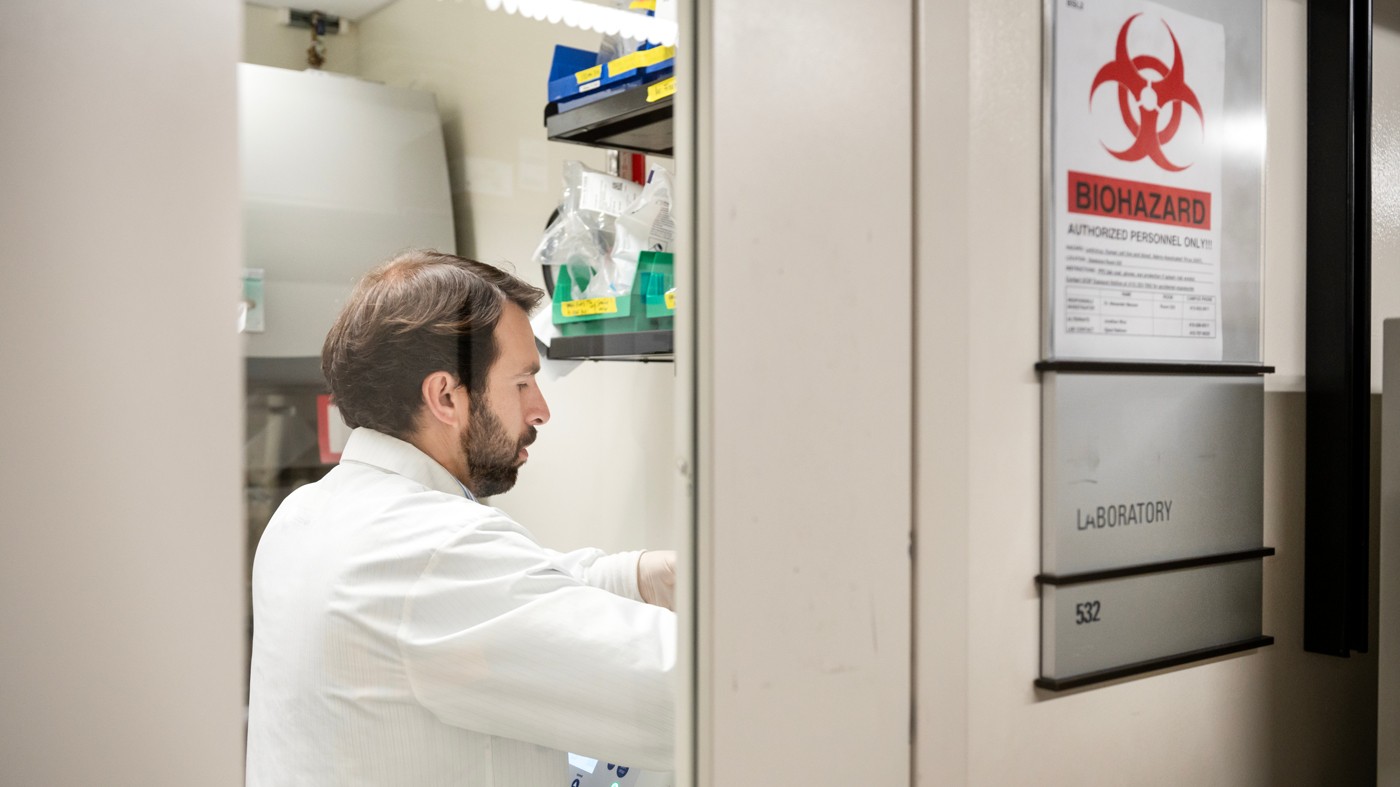 How Unique Immune Cells Can Recognize—and Destroy—Tumors