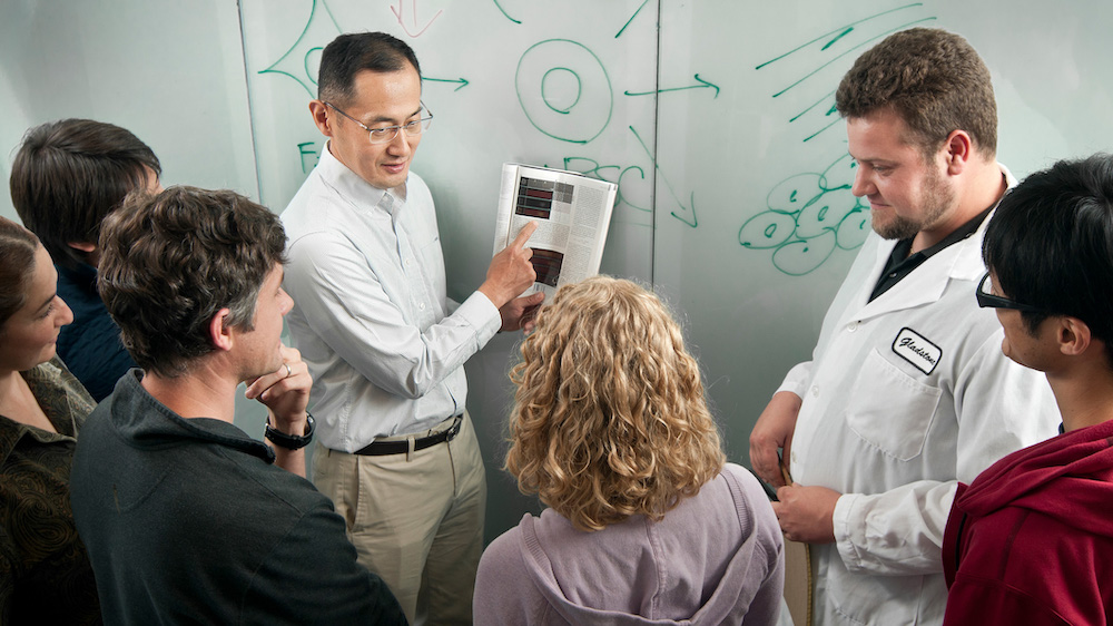 Working in the Yamanaka lab