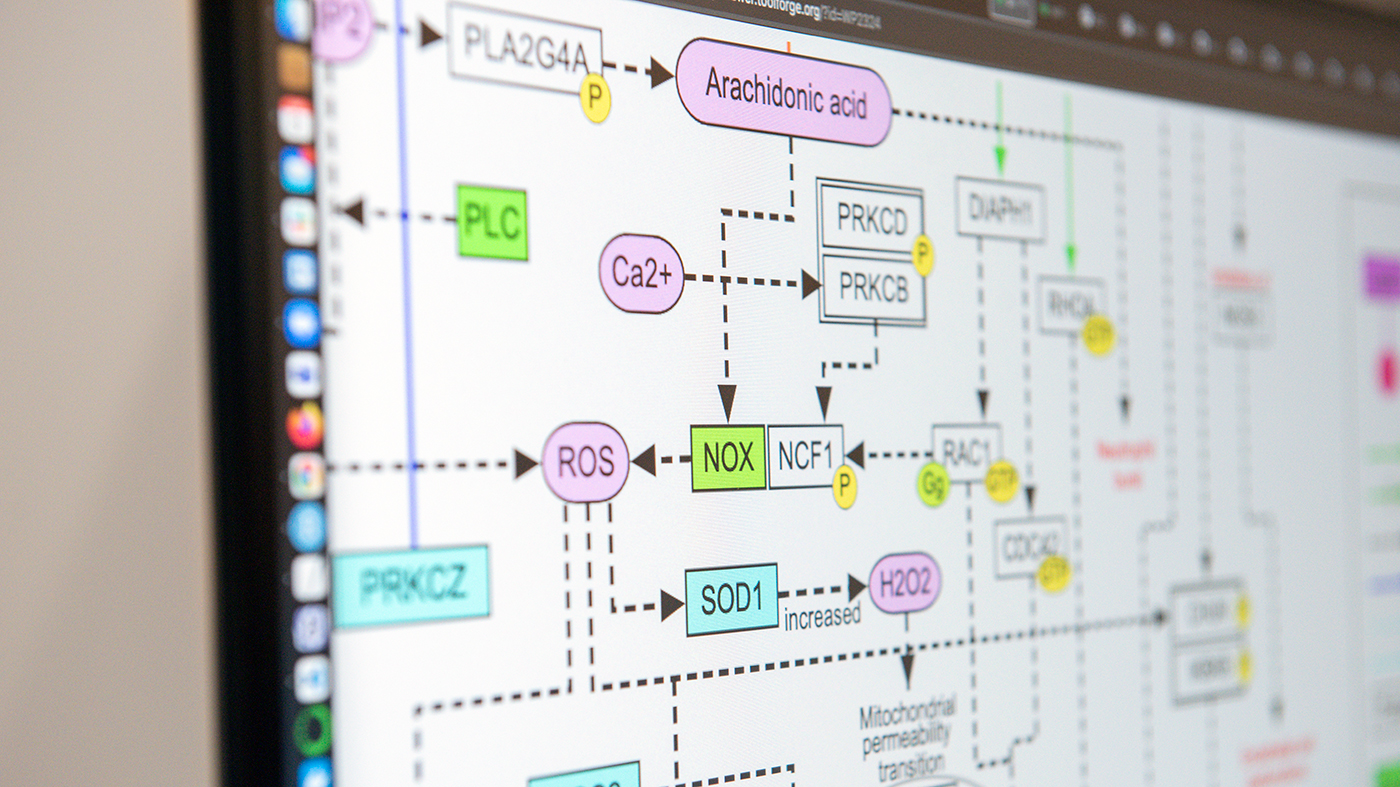 Working in the Pico lab