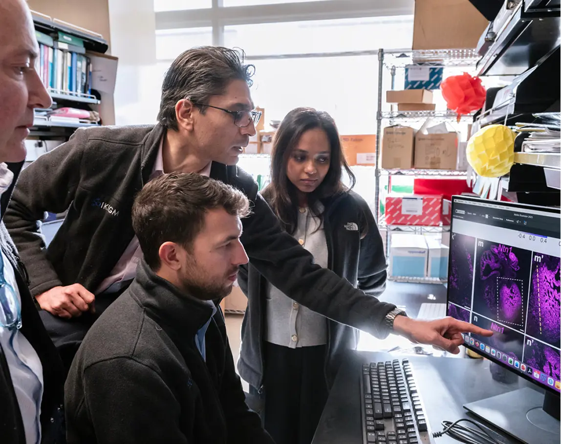 How Nobel Prize-Winning Optogenetics Has Revolutionized Neuroscience