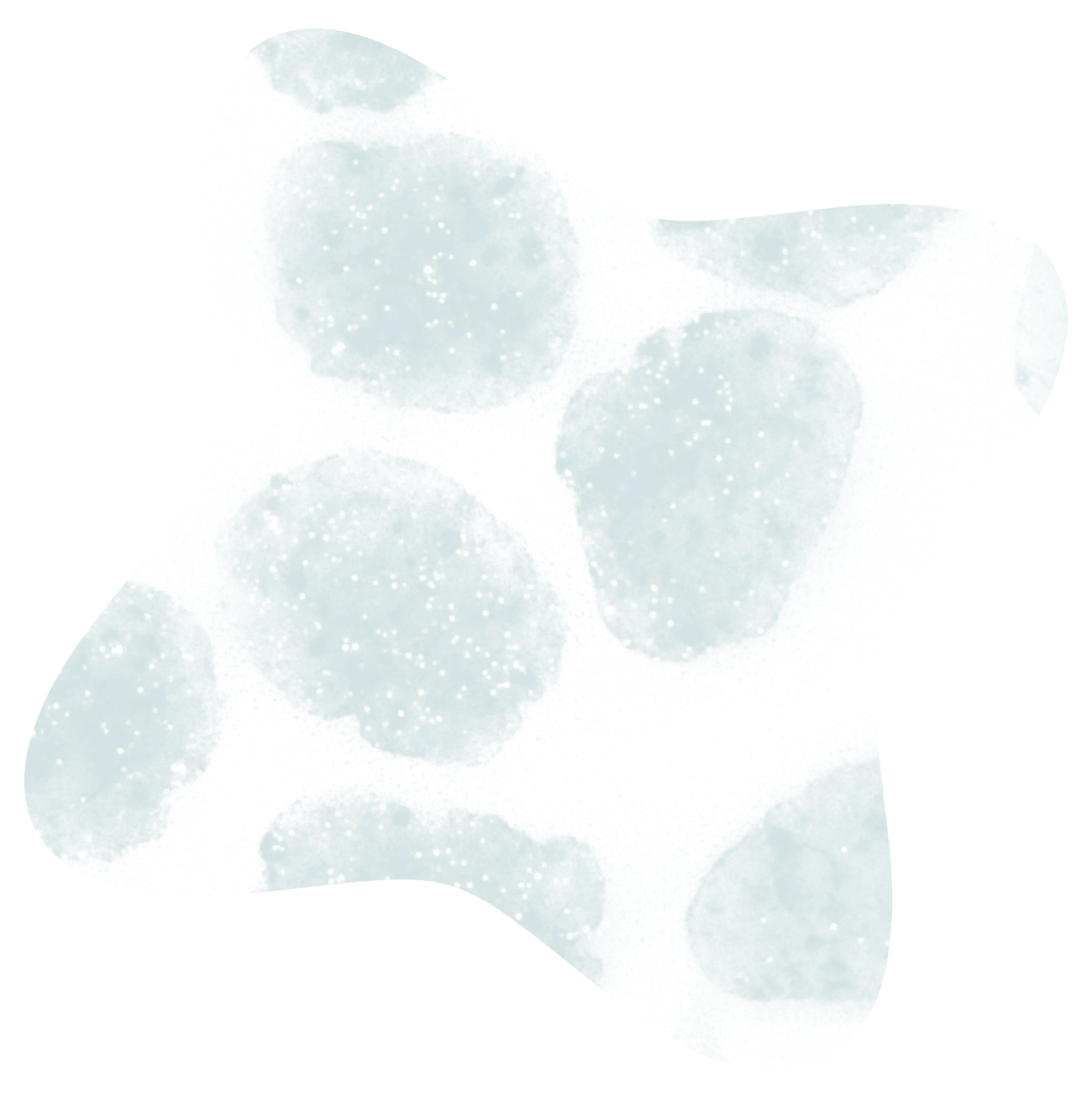 News Press Chromosome Image
