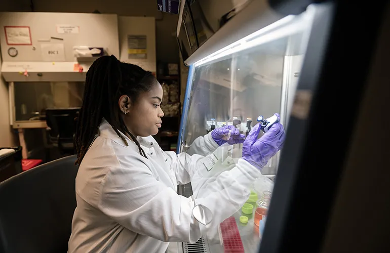 A postdoc in the Roan Lab working on an experiment in a lab bench