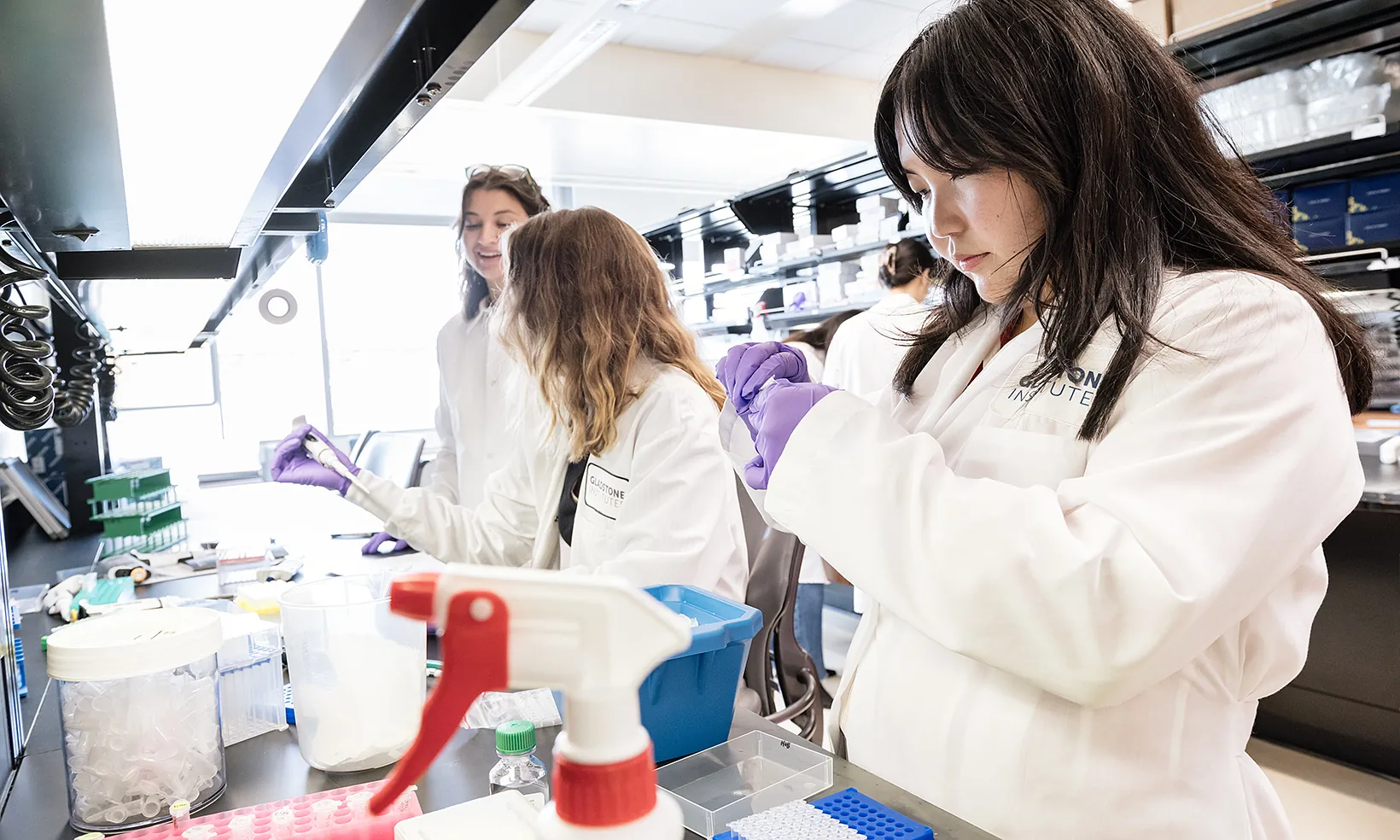 Scientists in the Hoffmann lab working at a lab bench