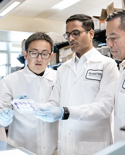 Three scientists in lab coats and gloves looking at a well plate together