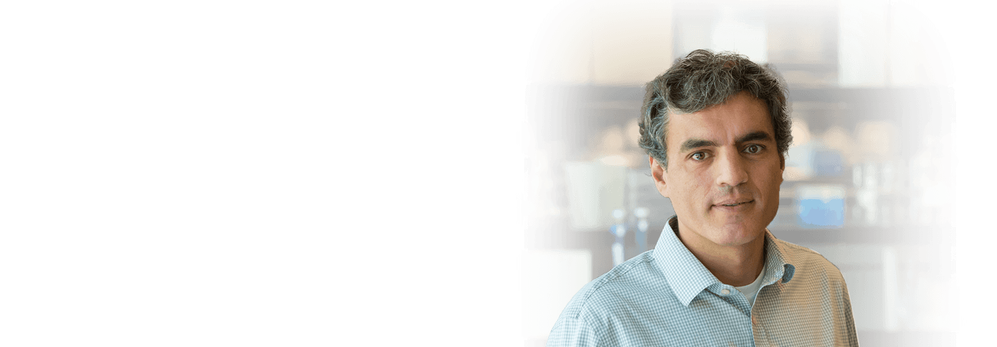 Jorge Palop, PhD portrait image